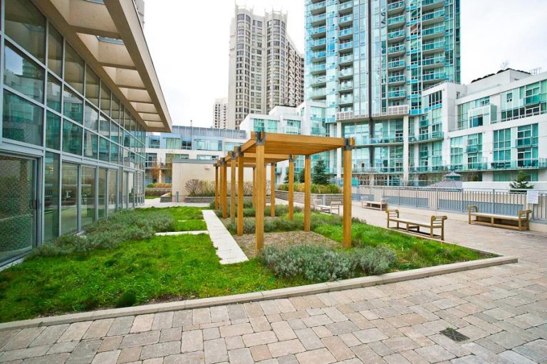 2011_11_30_01_45_06_5-terrace4