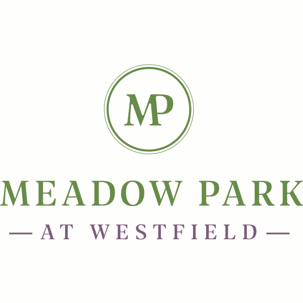 Meadow Park New Townhomes in Brampton