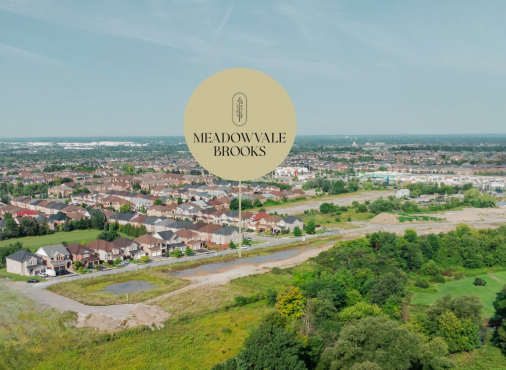 Meadowvale Brooks